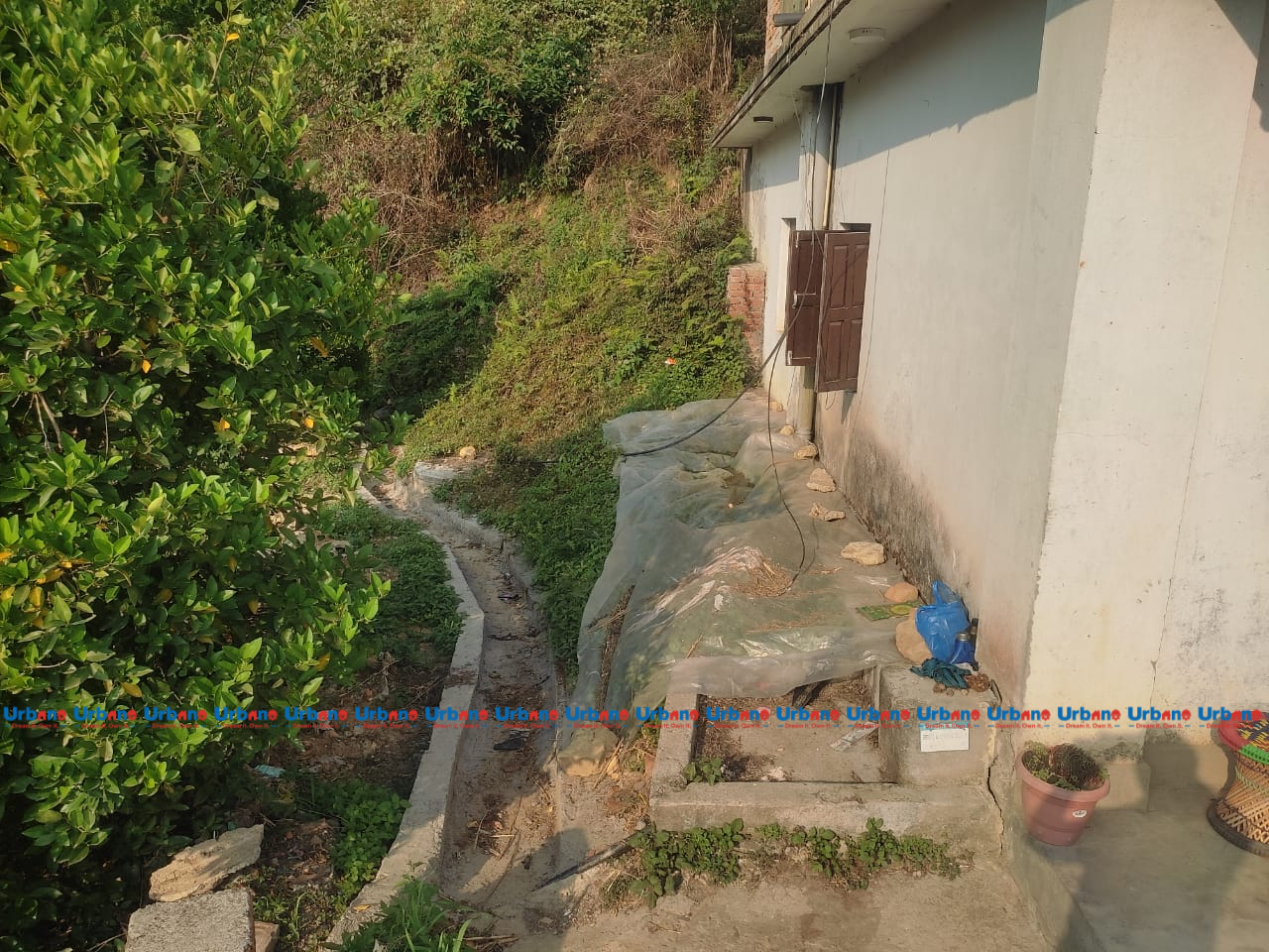 property-image